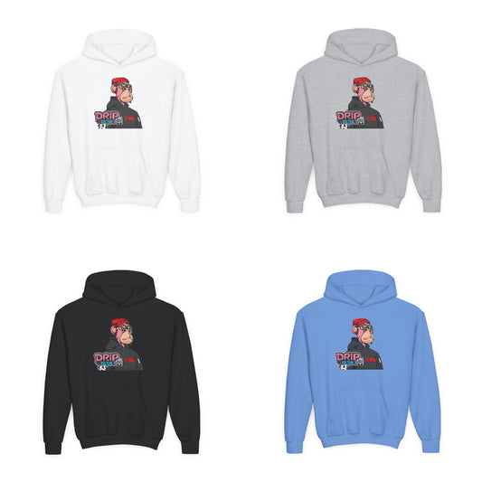 Youth NFT Original Drip Kulture Hoodie - Multiple Colors
